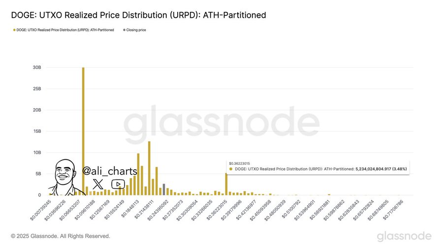 Dogecoin's Historical Patterns Suggest Potential Price Targets of $1–$2 Amid Current Market Cycle 2 Dogecoin Trading Activity