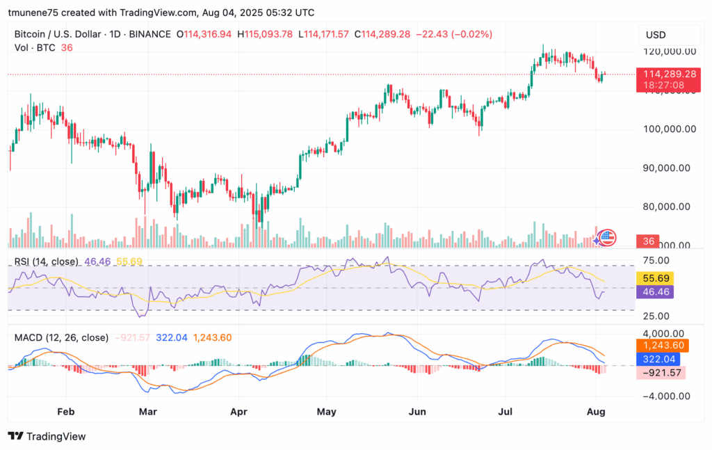 Bitcoin May Find Support Near $112K Amid Cooling Momentum and Market Uncertainty 3 BTCUSD 2025 08 04 08 32 52 1