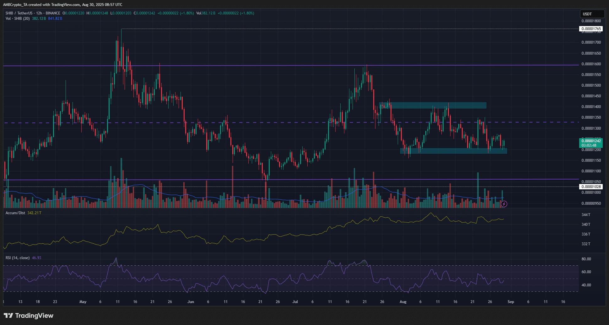Shiba Inu 12-hour Chart