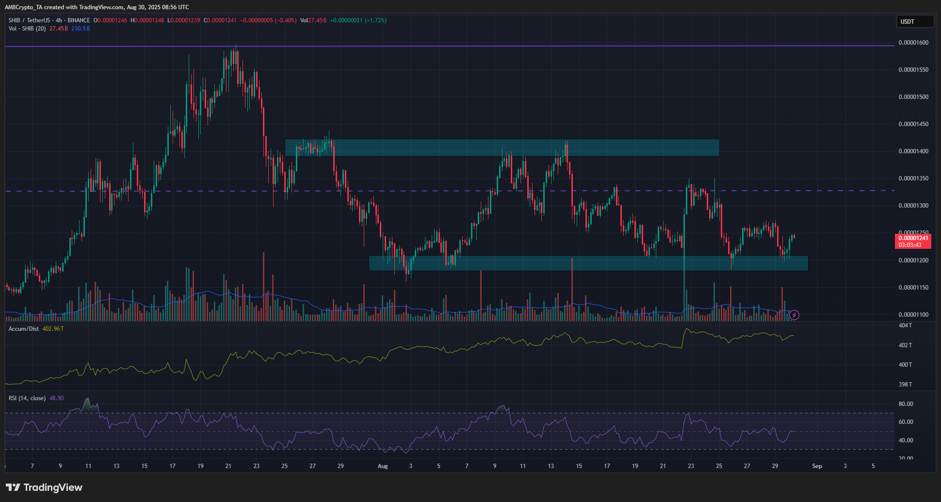 Shiba Inu 4-hour Chart
