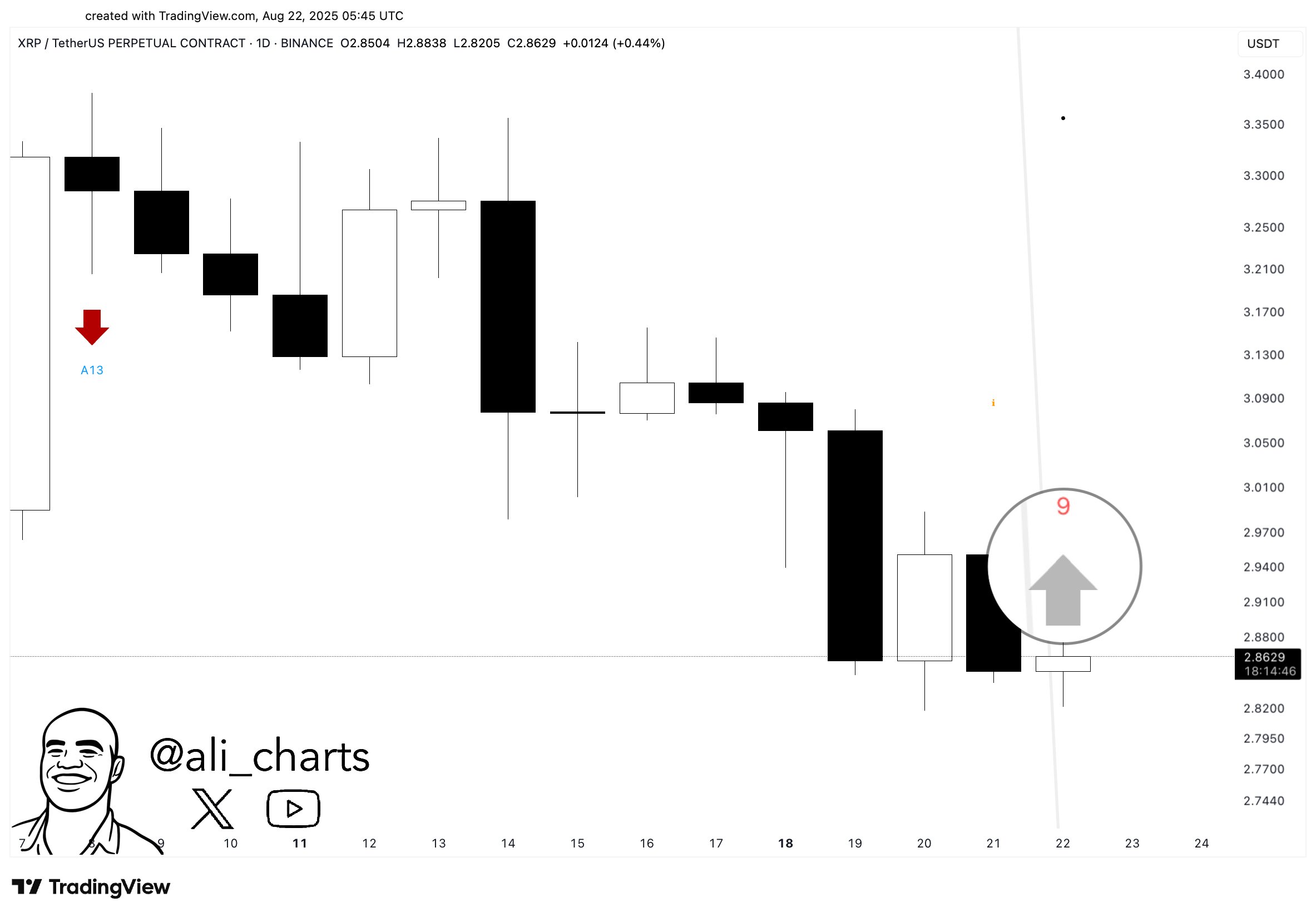 XRP TD Ali Martinez