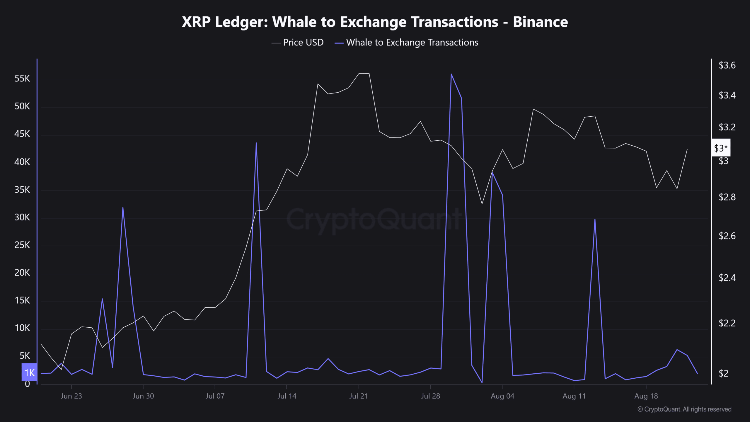 XRP ETF