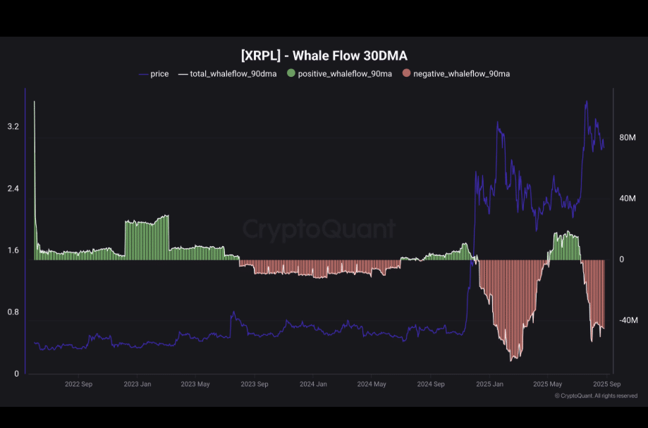 XRP Whale flow