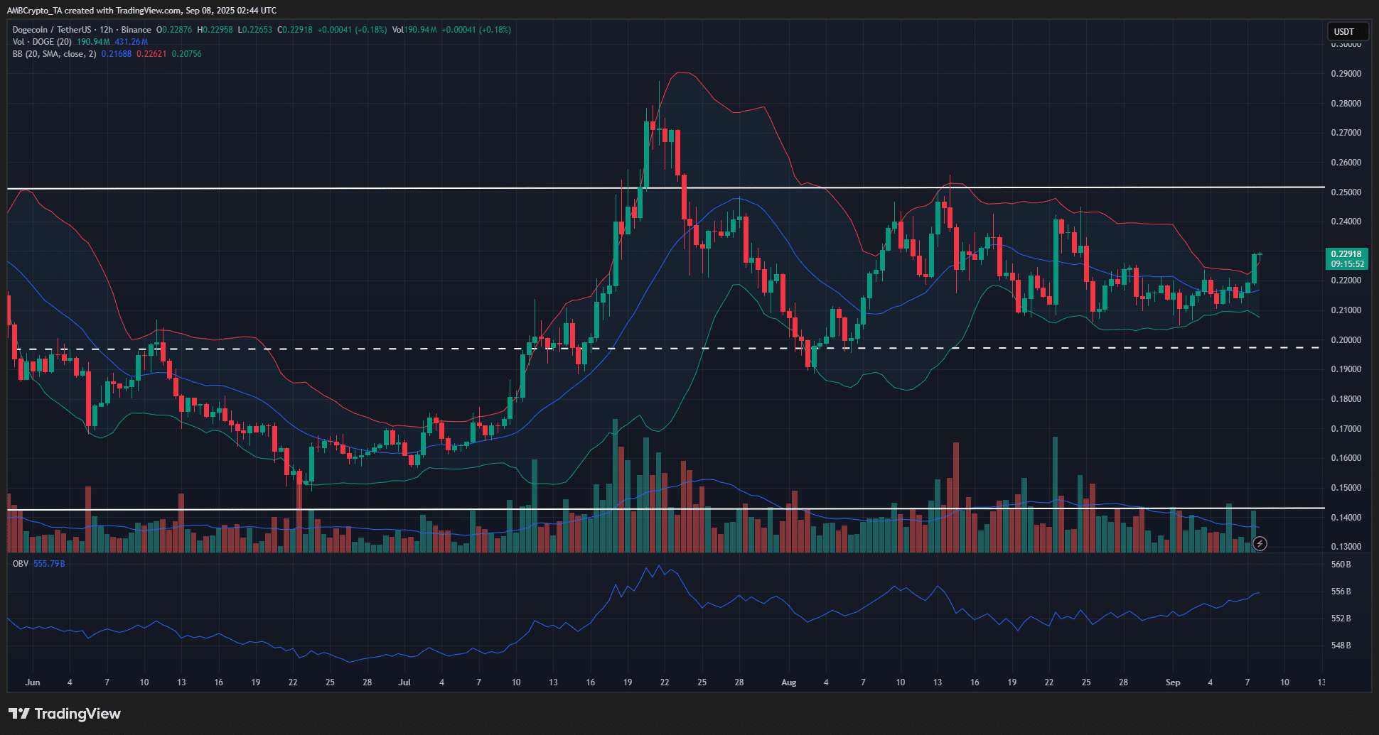 DOGE 4 Saatlik Grafik