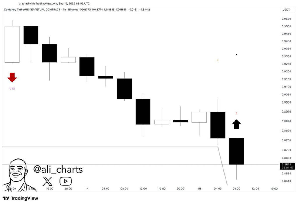 Cardano price outlook: ADA faces short-term bearish pressure amid early bullish cycle signals