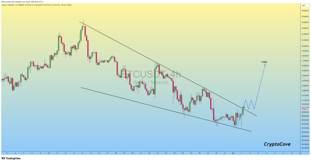 Bitcoin Could Sustain Breakout Above $110K With $116K as Next Target, Analysts Note Gold Divergence 1 Gz0PARZXgAACYAG 1