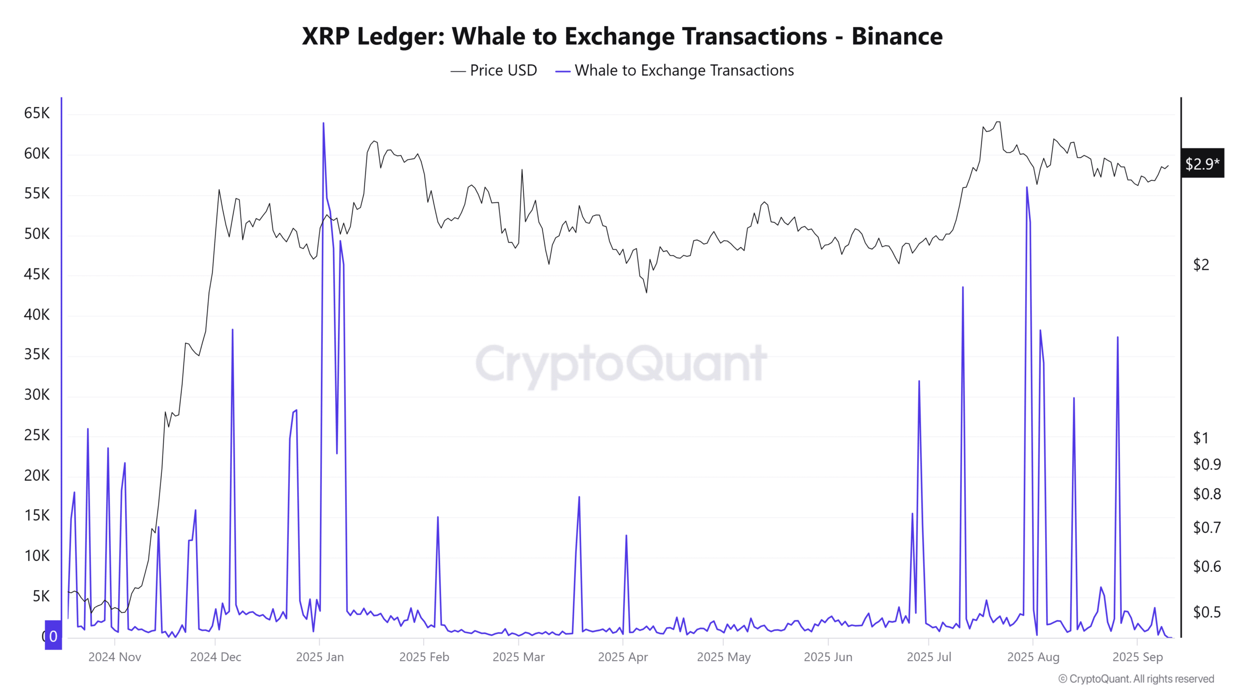 XRP Balina-Borsa İşlemleri Karşılaştırması