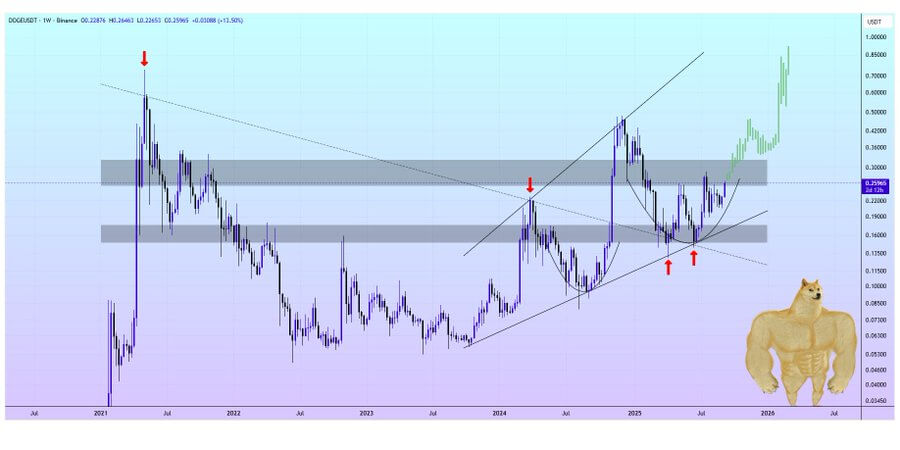 Dogecoin Could Extend Rally After Reclaiming $0.240, Testing $0.250 as Institutional Buying Increases 1 image 209