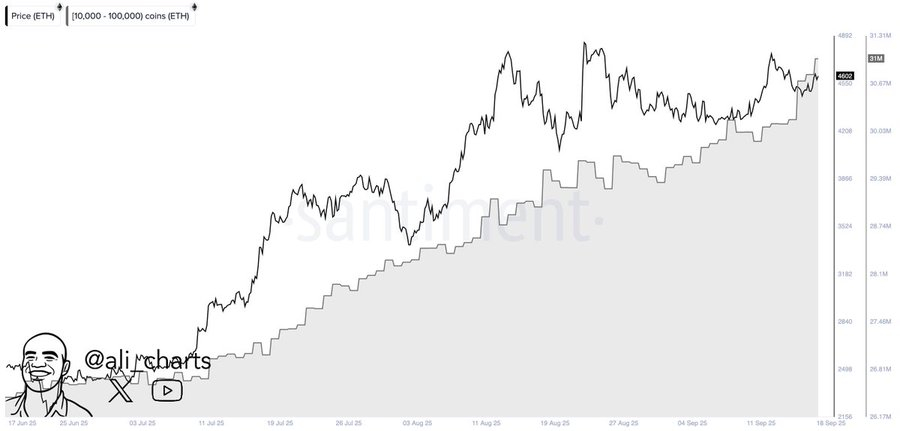 Ethereum Could Test $10,000 as Weekly Bull Pennant Forms Amid 820,000 ETH Whale Accumulation and Fusaka Upgrade 2 image 304