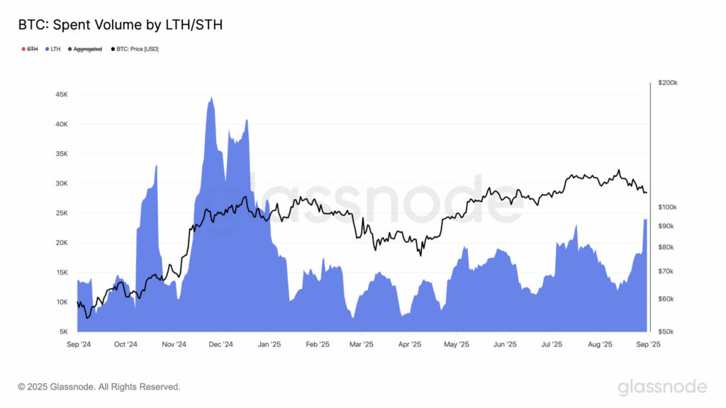 Bitcoin Pullback May Fit Bull Market Norms as Long-Term Holder Selling Tracks Historical Cycles 2 image 33