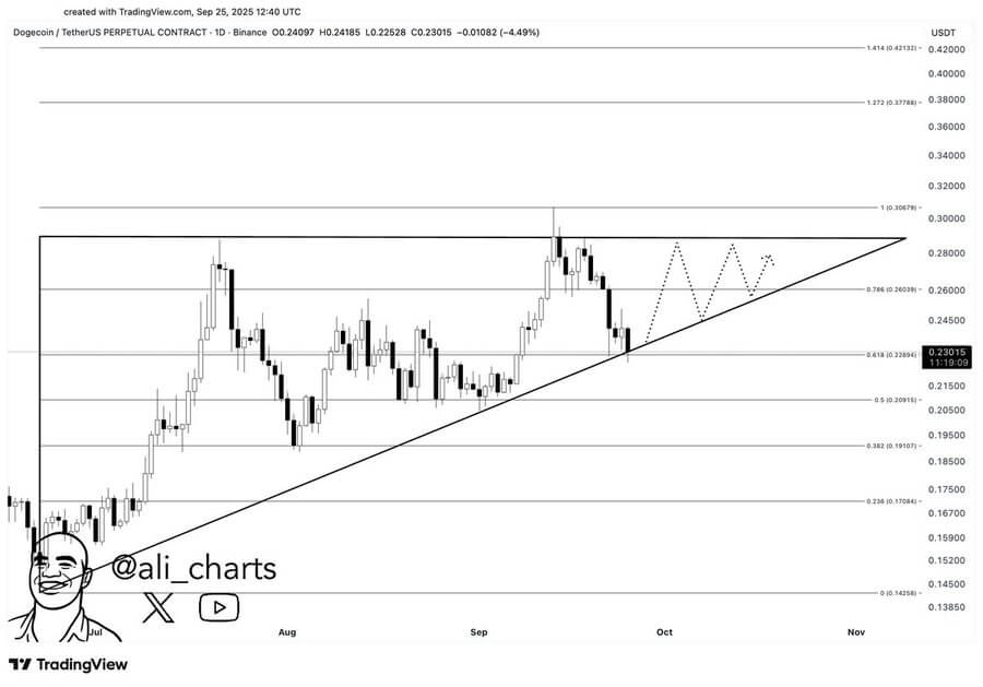 Dogecoin $0.22 Desteğinde Trend Çizgisi, RSI ve Fibonacci ile Tepki Verebilir, Balinalar %17 İle Pozisyon Topluyor 1 image 374