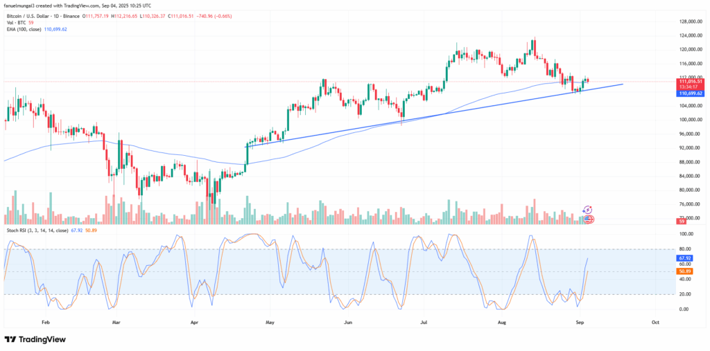 Bitcoin Could Climb Toward $118K–$120K as Momentum Rises if $110K Support Holds 1 image 62