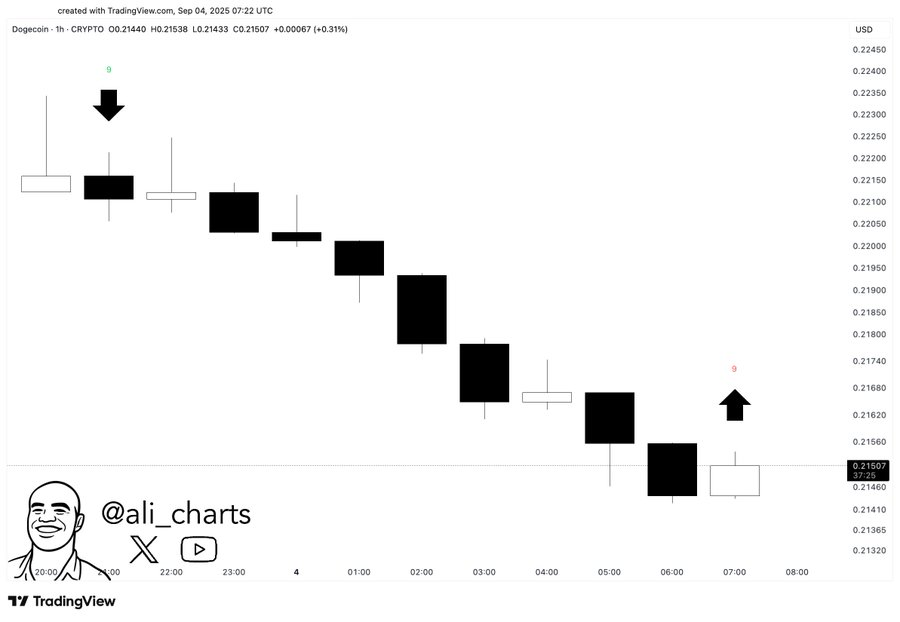 Dogecoin Could See Volatility Expansion as Bollinger Bands Squeeze and TD Sequential Flashes Buy Signal 2 image 73