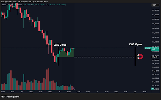 ビットコインは115,700ドル付近で踏みとどまる可能性、CME先物がボラティリティと115,300ドルレジスタンスを形成 unnamed 24 1 6