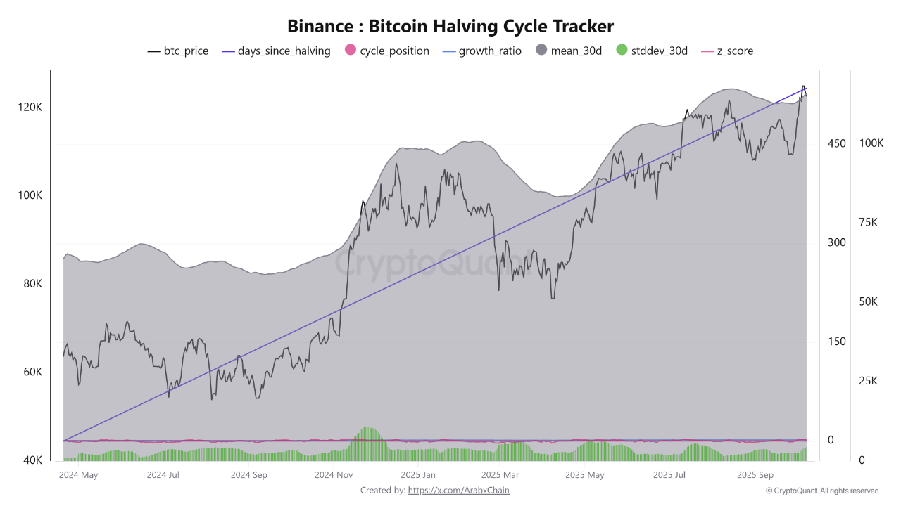 Bitcoin growth ratio chart since May 2024