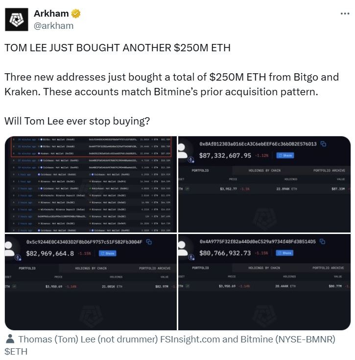 BitMines Tom Lee Eyes Ethereum Supercycle, Firm Bolsters ETH Holdings to 2.74% of Supply 1 019a045a 112d 7bba b578 8a0e2dd647f8