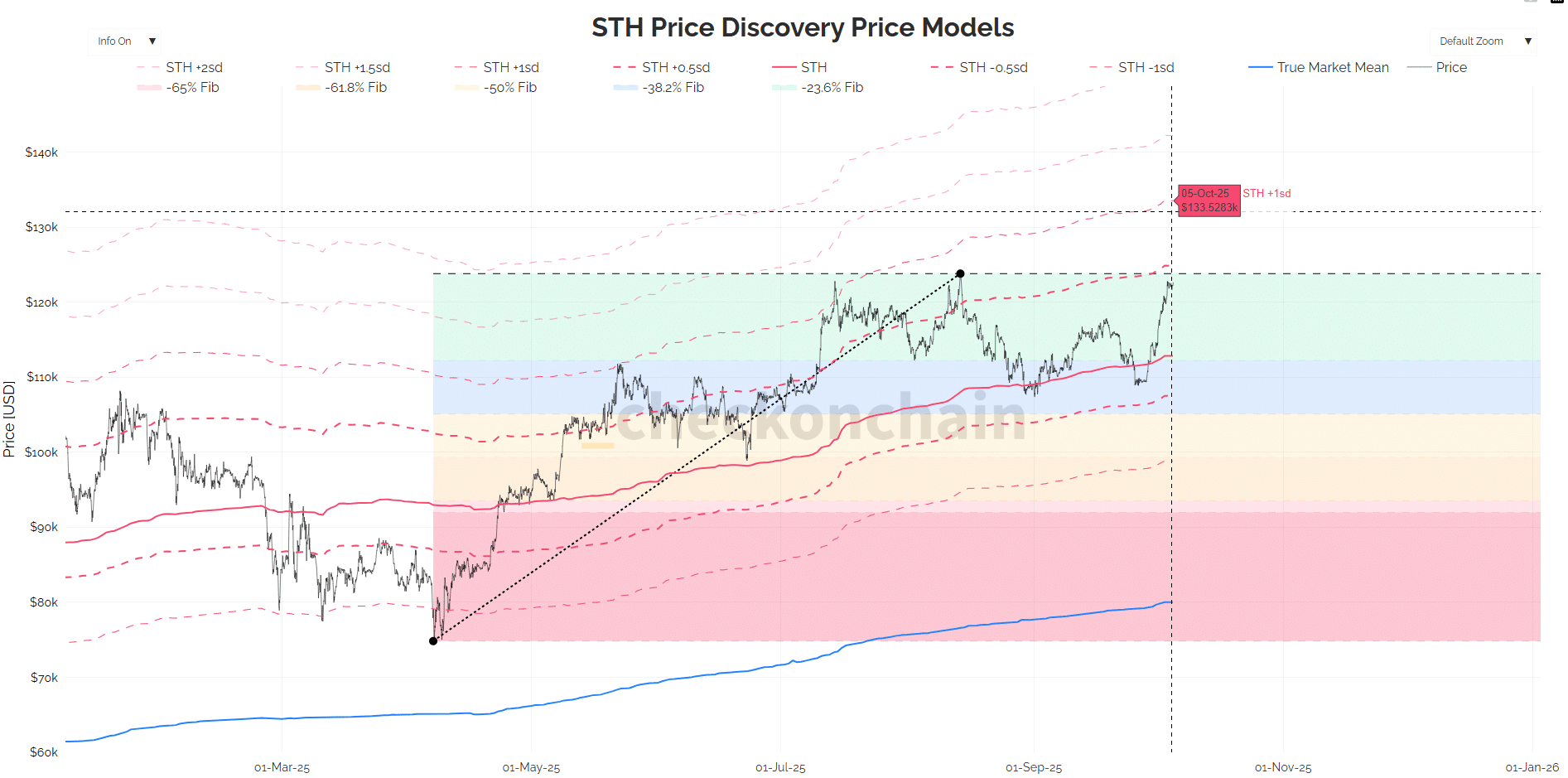 BTC STH Price Discovery Model