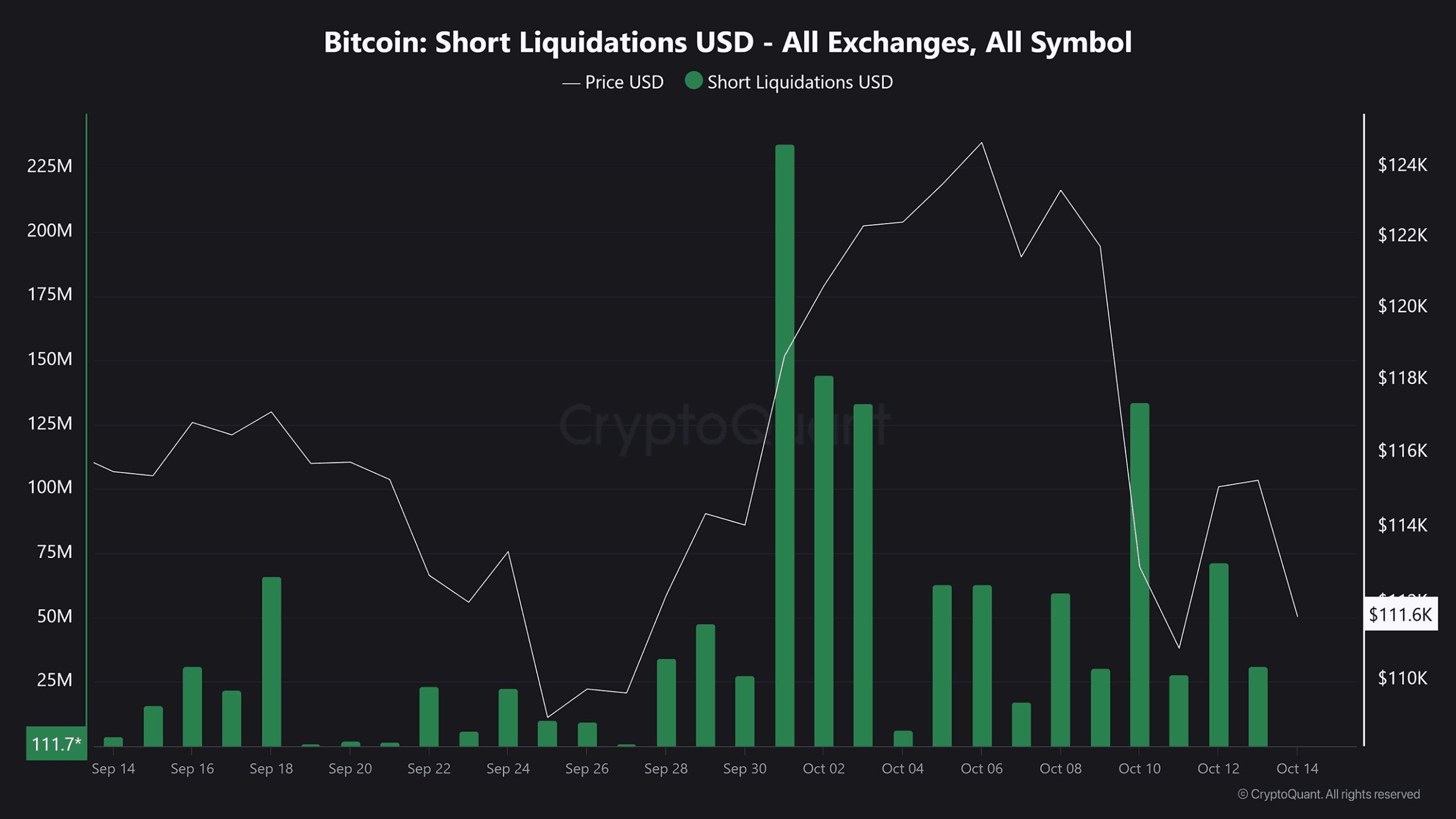 Bitcoin Correction Appears Driven by Leverage Unwind as Over 90% of Supply Remains in Profit 3 Bitcoin Short Liquidation