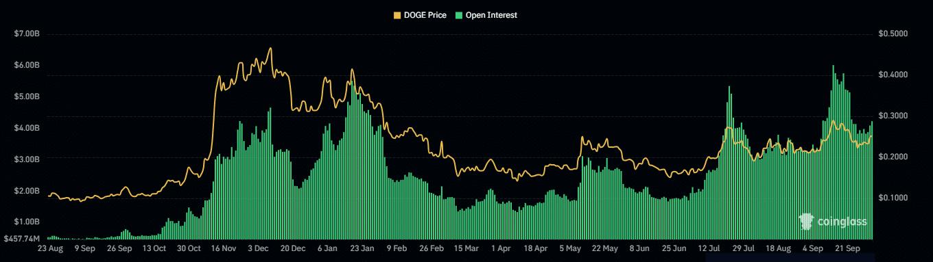 DOGE open interests 11zon