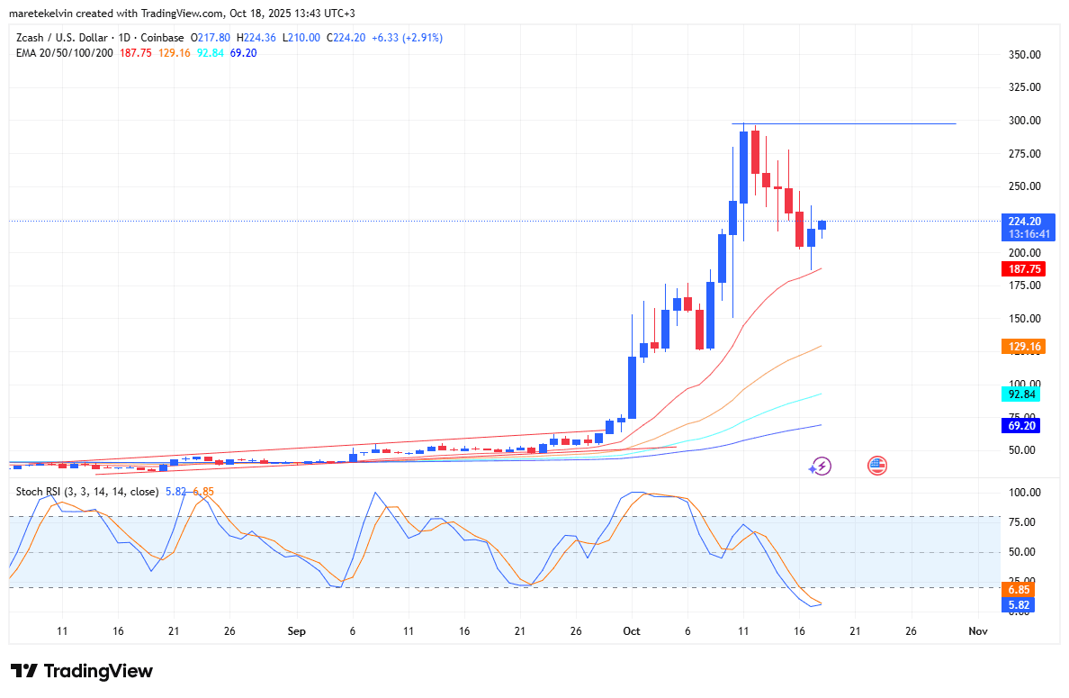 Zcash Rebounds 15% to $224, Hinting at Potential Rally Toward $300 1 ZEC price analysis