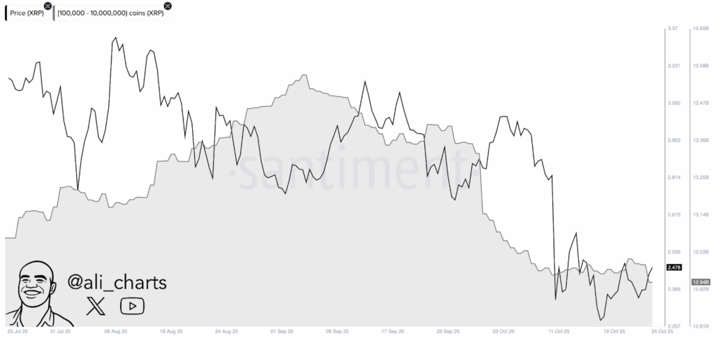 XRP Elliott Wave Patterns and Whale Accumulation Suggest Potential Bullish Momentum 2 image 188