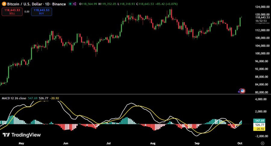 Bitcoin price chart and cycle visualization