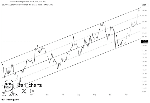 Solana Holds Near $190, Analysts See Potential Rally Toward $230-$290 1 unnamed 33 1 3