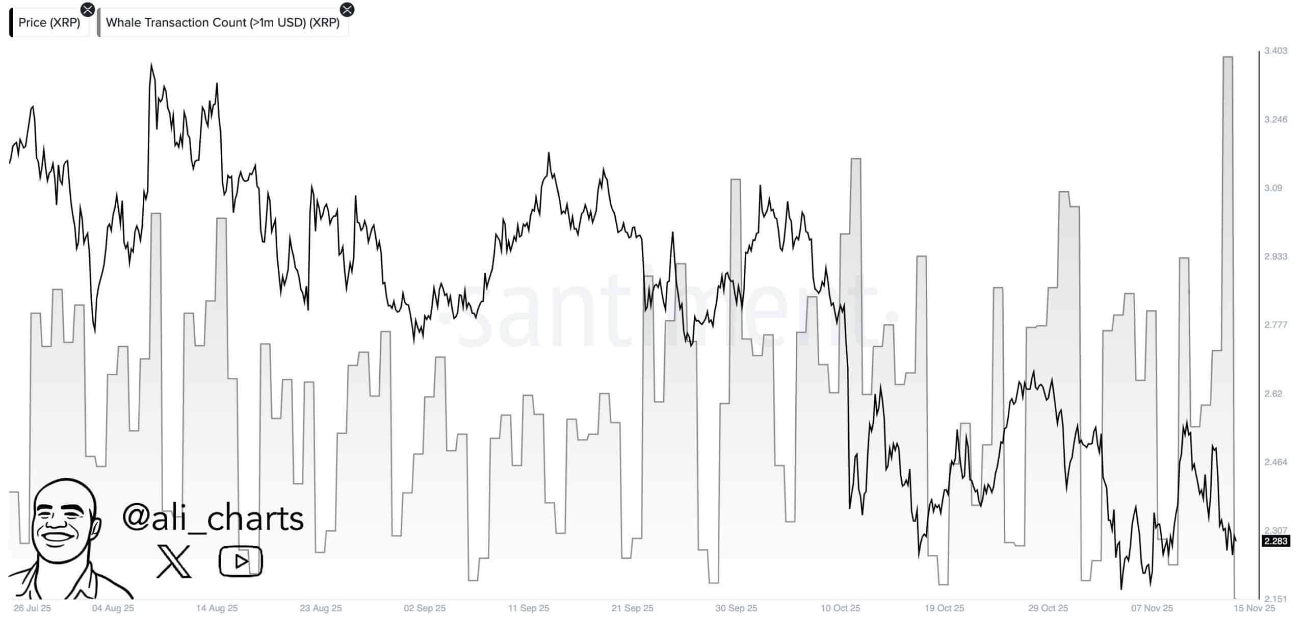XRP Whale Activity Spikes, Short-Term Holders Accumulate Amid Stable Derivatives 1 XRP