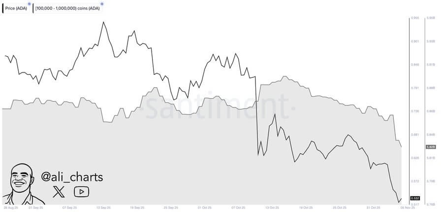 Cardano's ADA Forms Potential Base Near $0.54, Hinting at Uptrend Transition 2 image 44