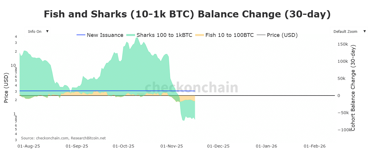 Bitcoin Risks Further Decline to $94K Amid STH Selling Pressure 3 Bitcoin Sharks and Fish