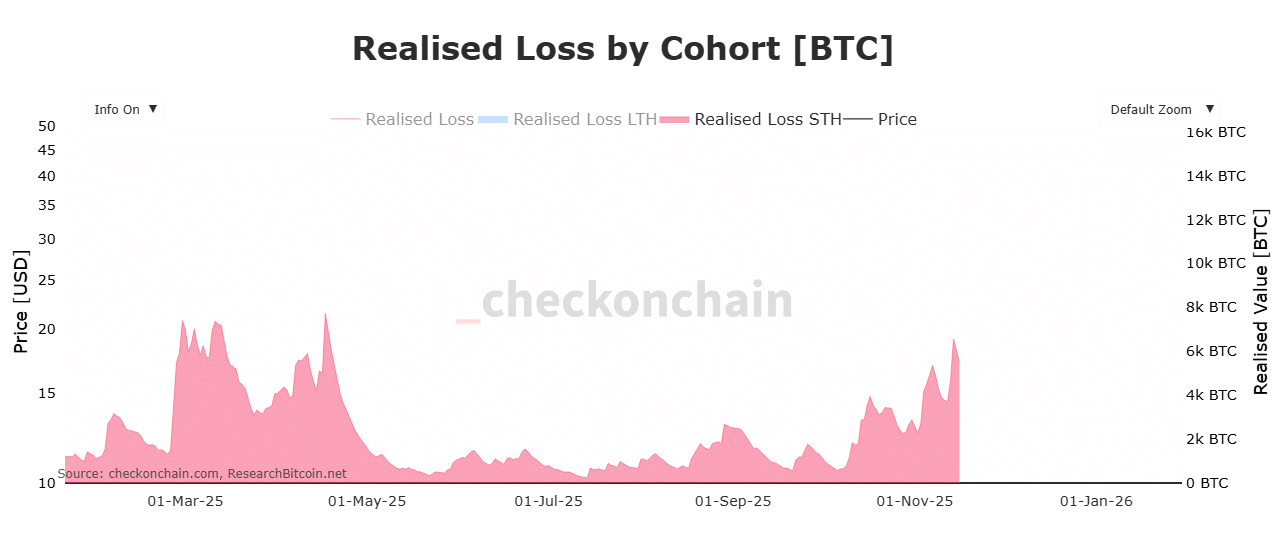 Bitcoin Risks Further Decline to $94K Amid STH Selling Pressure 6 newplot 43