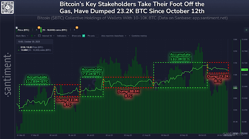 Volatilite Ortasında Bitcoin Balinaları Varlıklarını Azaltıyor, Kripto İyimserliği Devam Ederken Olası Geç Döngü Değişimini İşaret Ediyor 1 unnamed 78 1